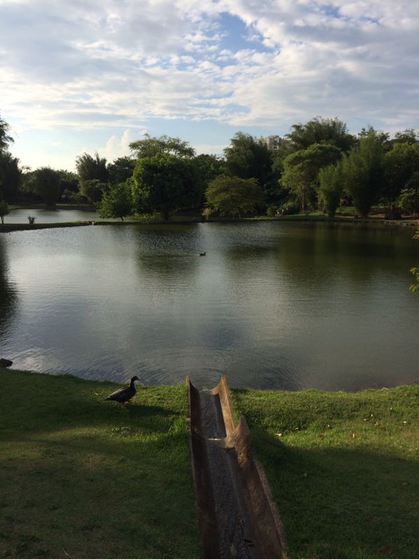 Nature Village 2 no Bairro Eloy Chaves Jundiaí